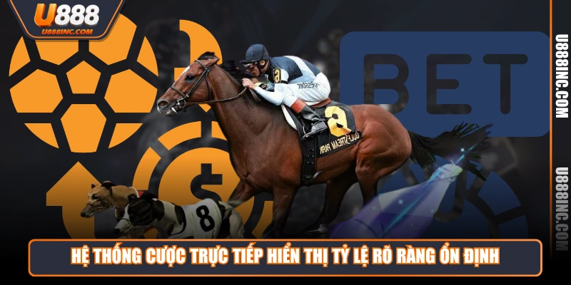 he thong cuoc truc tiep hien thi ty le ro rang on dinh Hệ thống cược trực tiếp hiển thị tỷ lệ rõ ràng ổn định