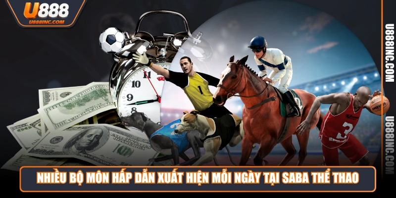 nhieu bo mon hap dan xuat hien moi ngay tai saba the thao Nhiều bộ môn hấp dẫn xuất hiện mỗi ngày tại saba thể thao
