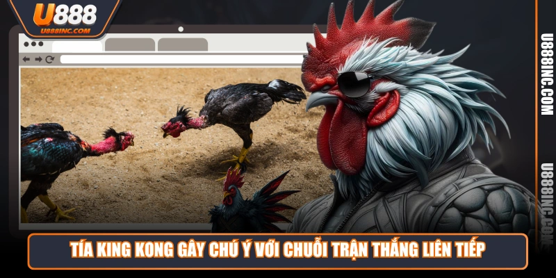 tia king kong gay chu y voi chuoi tran thang lien tiep Tía King Kong gây chú ý với chuỗi trận thắng liên tiếp